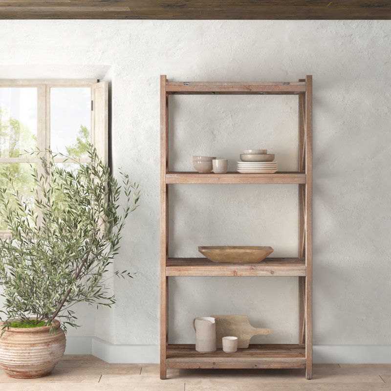 Denae Standard Etagere Bookcase & Reviews Birch Lane